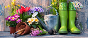 Reinvent gardening, Top deal in Home & Garden