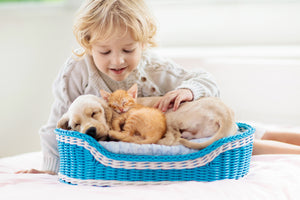 Cherish your pets with our products, Pets & animals